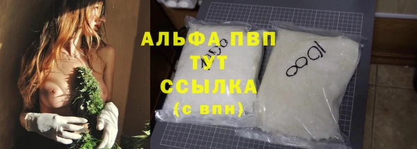 прущие грибы Пестово