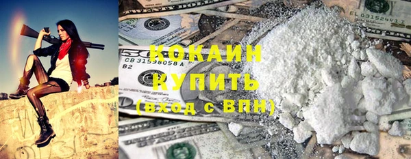 прущие грибы Пестово