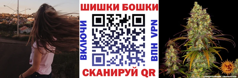 Бошки марихуана семена  Нововоронеж 